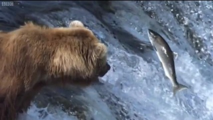 High Speed Filming - Nature's Great Events