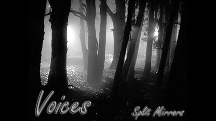 Split Mirrors - voices 