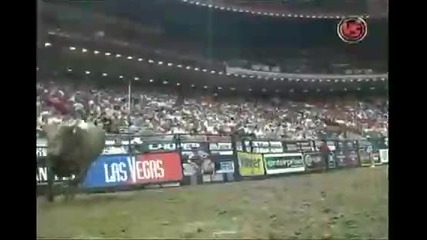 Wiley Petersen Vs. Mud Wasp 
