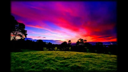Amd - Morning Glory 