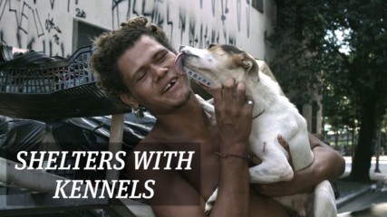 São Paulo is making homeless shelters dog friendly