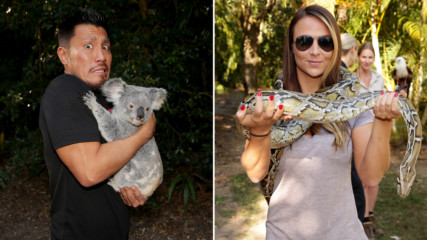 WWE Superstars get up close with animals and meet Steve Irwin's family at the Australia Zoo