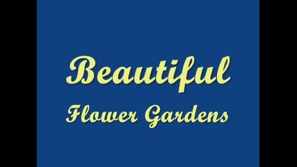 Beautiful Flower Garden Video