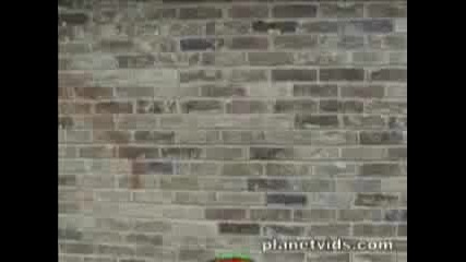 Pokemon В Истинския Живот