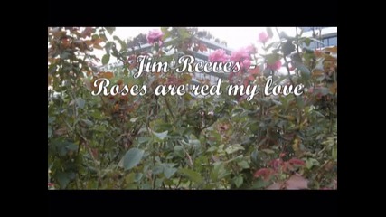 Jim Reeves - Roses are red my love