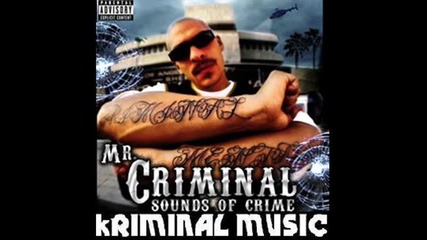 Mr.criminal - Fully Automatic