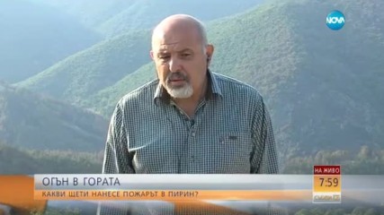 СЛЕД ПОЖАРА В ПИРИН: 40 години ще са нужни за възстановяване на гората