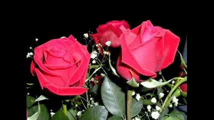 Cemile__