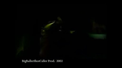 Roni Size and Cypress Hill - Child of The Wild West