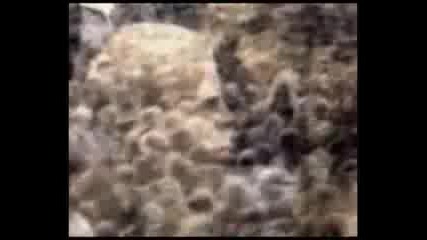 The Story Of Rock N Roll - Part 4 of 7 