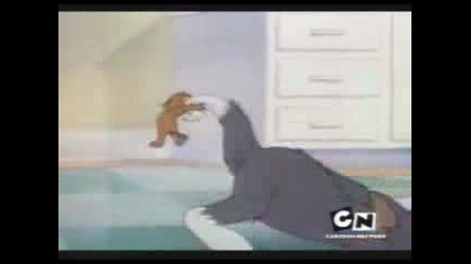 Tom And Jerry