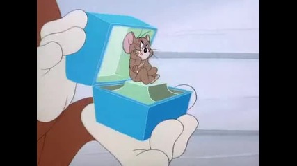 Tom & Jerry - Flirty Birdy **HQ**