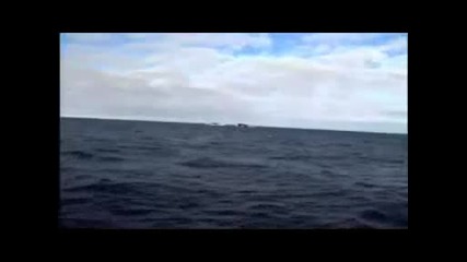 Най - Голямата Подводница В Света