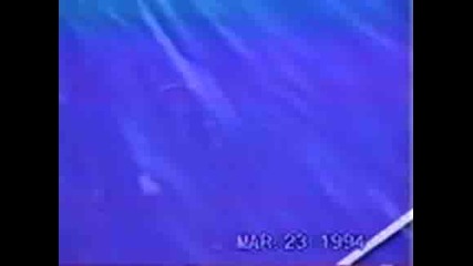 Shark Attacks Student