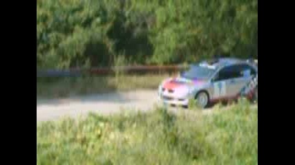 Rally Vida