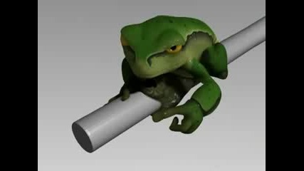 Alcoholic frog 3