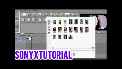 sony vegas effect # 01
