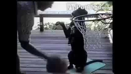 basketball с куче