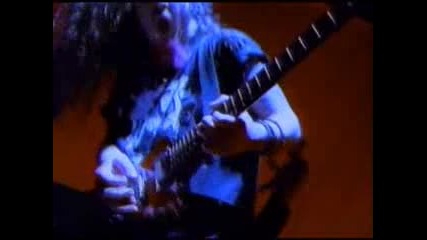 This love harfamungler - Pantera