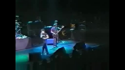 The Cranberries - In It Together