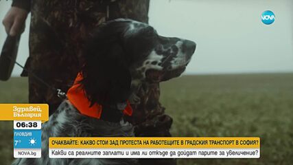 Брижит Бардо поиска да се забрани ловът с кучета