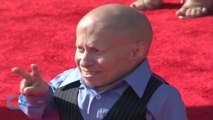 'Austin Powers' Actor Verne Troyer Hospitalized After Seizure