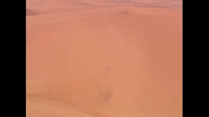 Rally Dakar 2007 - Day 8