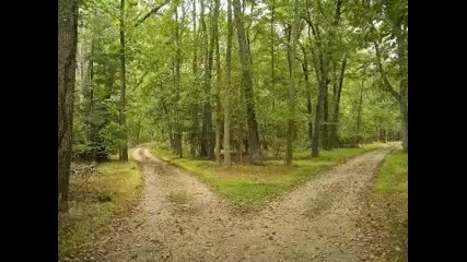 Chris Rea - Two Roads