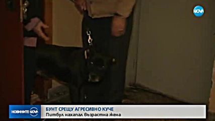 Цял блок на бунт срещу опасен питбул