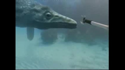 Endless Oceans - Monsters Of The Deep