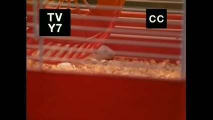 Училище '' Черната дупка '' еп. 28