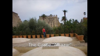 spain movie _2011
