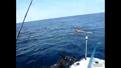 Човек плува с кит 