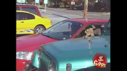 Hidden Camera - Girlfriend Swap