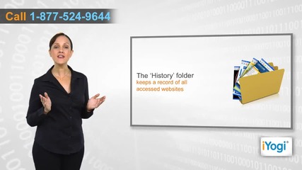 How to delete history in Apple® Safari 5.0.1 in Windows® Xp