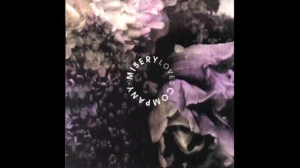 Misery Loves Company - Strength