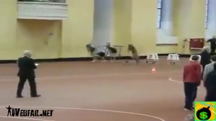 Смях и болка Март 2012