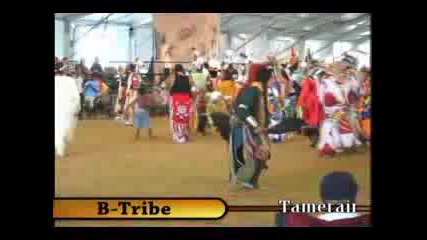 B - Tribe the Sun 2007 Schemitzun