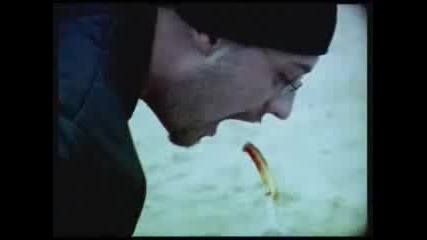 Sido - Mama ist Stolz Instrumental