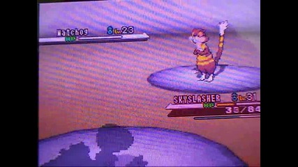 Pokemon Black and White Walkthrough part 23