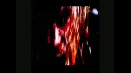Edge Tribute