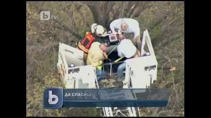 Мечка заклещена на дърво, спасиха я!