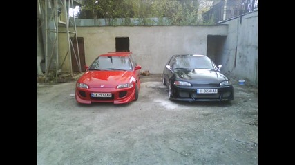 vtec zverove