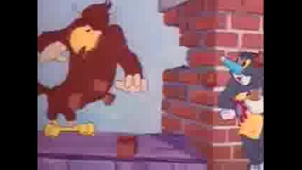Tom And Jerry - 021 - Flirty Birdy