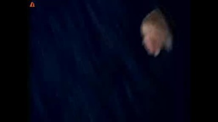 Кали - Нищо Лично.flv
