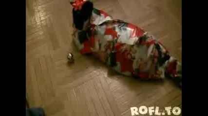 Как да опаковаме котка за подарък :) 
