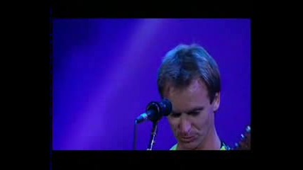 Sting - Wild Wild Sea