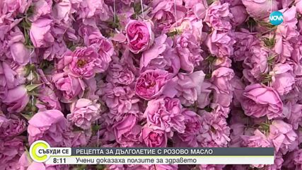 Учени откриха, че розовото масло може да подмладява