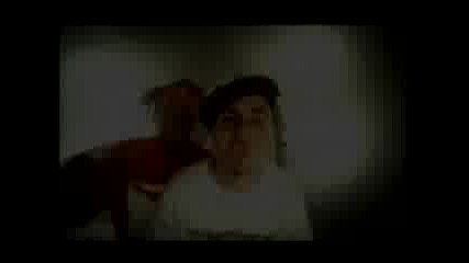 Pitbull - dammit Man 