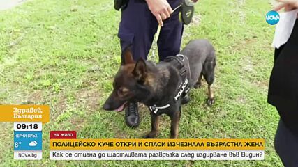 Полицейско куче откри и спаси изчезнала жена във Видинско